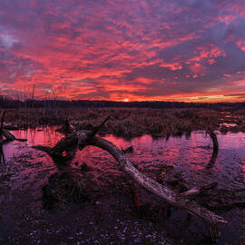 Rutland Dunn-set -  spectacular sunset above wetlands and pond with arched deadwood log in Wisconsin by Peter Herman