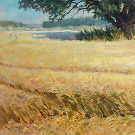 Rye field by Vera Bondare