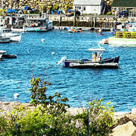Safe Harbor Cove by Ruth H Curtis
