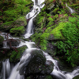 Sages Ravine Waterfall 2 by Bill Wakeley
