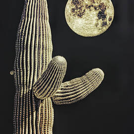 Saguaro Cactus Moon Sepia Brown by Jennie Marie Schell