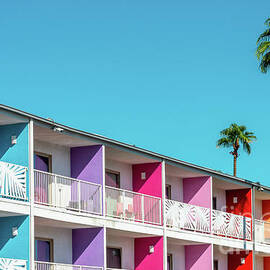 Saguaro hotel, palm trees and colorful architecture, Palm Springs by Delphimages Photo Creations
