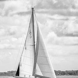 Sailboat on the Neuse River - Eastern North Carolina by Bob Decker