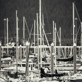 Sailboats In Homer Marina by Dan Sproul