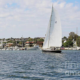 Sailing in Newport Beach California by Scott Pellegrin