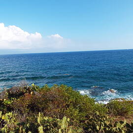 Sint Maarten Seascape 
