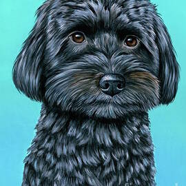 Salem the Schnoodle on Teal by Rebecca Wang