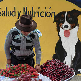 Salud y Nutricion, Cuenca Ecuador 2016 by Michael Chiabaudo