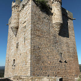 San Felices de los Gallegos Castle #5 by RicardMN Photography