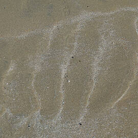 Sand Art Series  Light Sand Ripples by Maryse Jansen