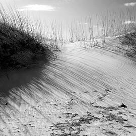 Sand Dunes on Cape Hatteras Coastline 5580 by James C Richardson