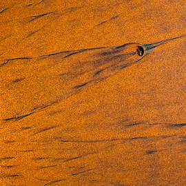 Sand Flow Glow Abstract by Bruce Pritchett