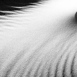 Sand Shapes by Angelika Vogel