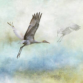 Sandhill Cranes in Flight by Angie Vogel