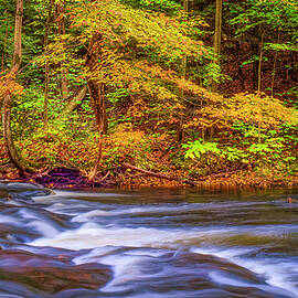 Saw Mill River by Thomas Hall