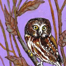 Saw Whet Owl at Twilight by VLee Watson