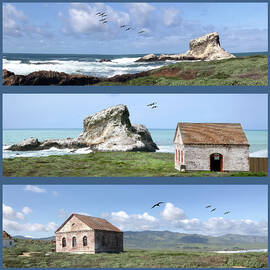 Scenes from Piedras Blanca Lighthouse Station by Floyd Snyder