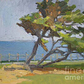 Scripps Park - La Jolla, California by Paul Strahm