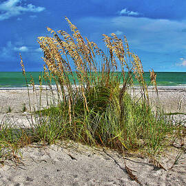 Seagrass of Sanibel HDR by John Grieshop