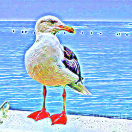 Seagull in Malibu by Jerome Stumphauzer