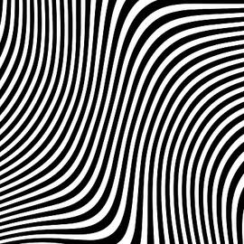 seamless zigzag Zebra pattern vector design by Tony Rubino