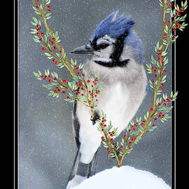 Seasons Greetings Blue Jay by Marilyn DeBlock