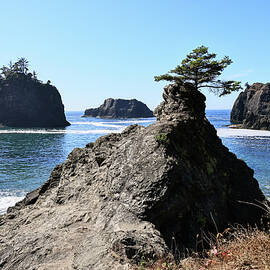 Seastack along secret beach by Jeff Swan