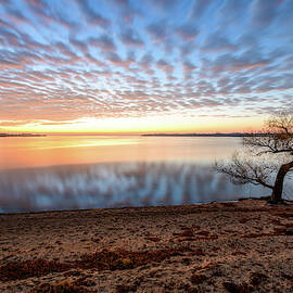 Seclusion by Michael Scott