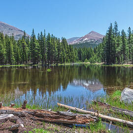 Serene Pond by Bill Roberts