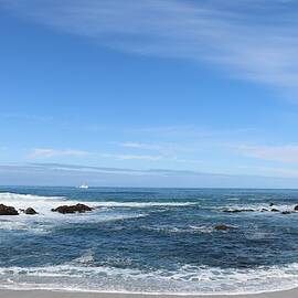 Serene Sea View  by Christy Pooschke