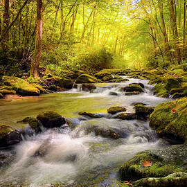 Serene Smoky Mountains Stream by Theresa D Williams Smoky Mountains