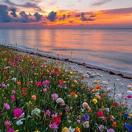 Serenity on Florida's Coast by Sven Andersen
