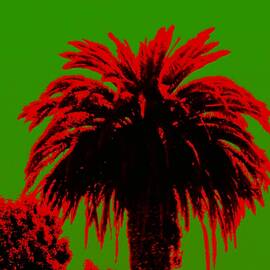 Seventues Punk Album Palm by Troy Wilson-Ripsom