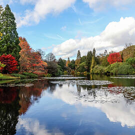 Sheffield Park in Autumn 3 by Shirley Mitchell