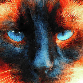 Siamese cat face close-up - blue and orange digital painting by Nicko Prints
