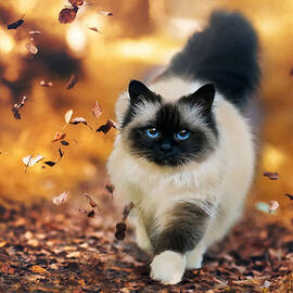 Siamese Cat Playing In The Leaves by Sandi OReilly