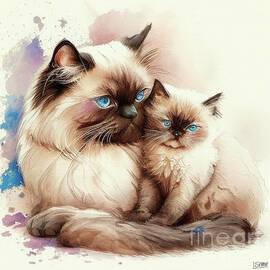 Siamese Persian Cat with kitten by Laura's Creations