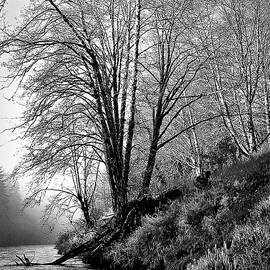 Siletz River Morn 2 in Black and White by Michael R Anderson