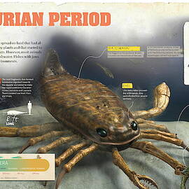 Silurian Period by Album