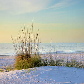 Simplicity at Fort De Soto by Lars Mikkelsen