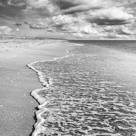 Simplicity in Black and White  by Debra and Dave Vanderlaan