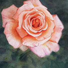 Single Rose by Christopher Reid