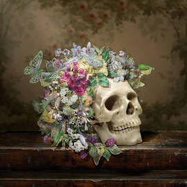 Skull by Amanda Seiler