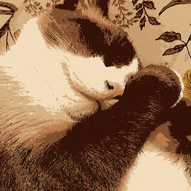 Sleeping Cat Vintage Style  by Shelli Fitzpatrick