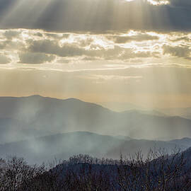 Smoky Rays by Stacy Abbott