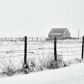 Snow At The Farm - Black And White by Beautiful Oregon
