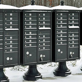 Snow Covered Mailboxes by Roberta Byram