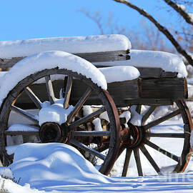 Snow Covered Wagon by Marty Fancy