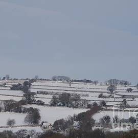 Snow Fields Of South Brent, Devon UK by Lesley Evered