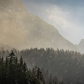 Snow Flakes in Golden Light by Joanne Eastope